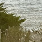 Loves Rising Waves 2025